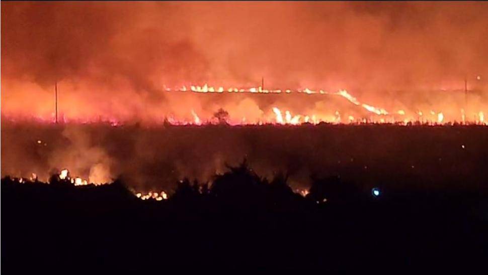 Incendiu de vegetaţie devastator în apropiere de Penitenciarul Poarta Albă, în județul Constanța 847327