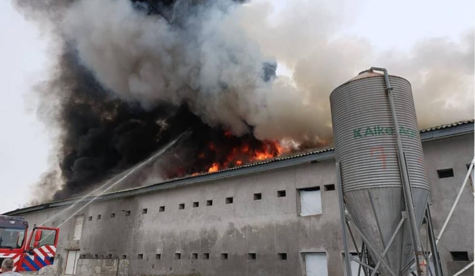 Incendiu puternic la o hală din Maramureș. Flăcările au cuprins sute de metri pătrați 847141