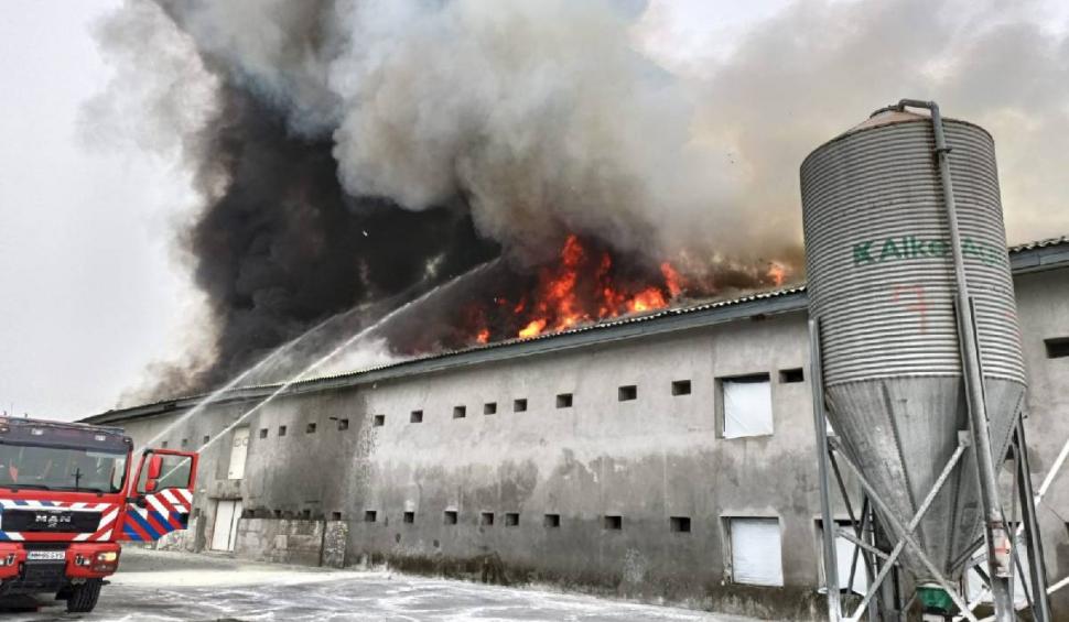 Incendiu puternic la o hală din Maramureș. Flăcările au cuprins sute de metri pătrați 847142