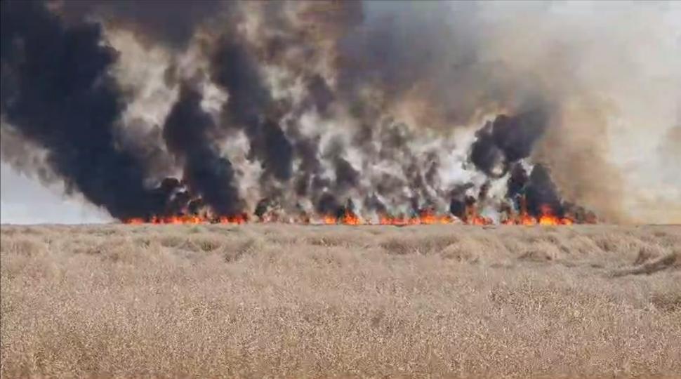 Incendiu masiv în apropiere de Bucureşti: Ard 10 hectare de vegetaţie. A fost emis mesaj Ro-Alert 847205