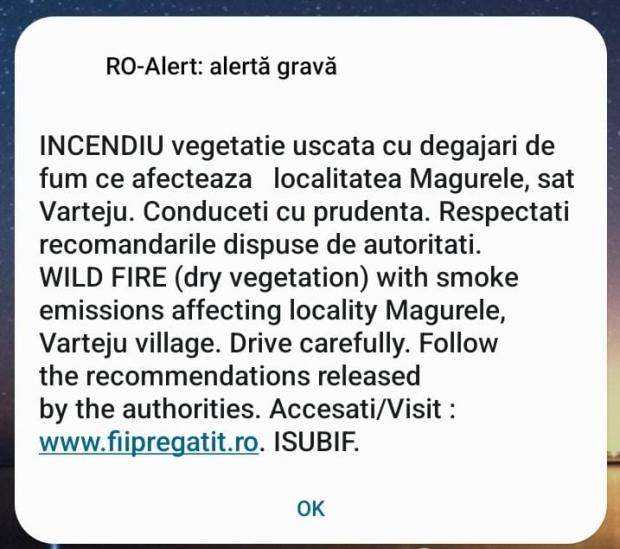 Incendiu masiv în apropiere de Bucureşti: Ard 10 hectare de vegetaţie. A fost emis mesaj Ro-Alert 847210