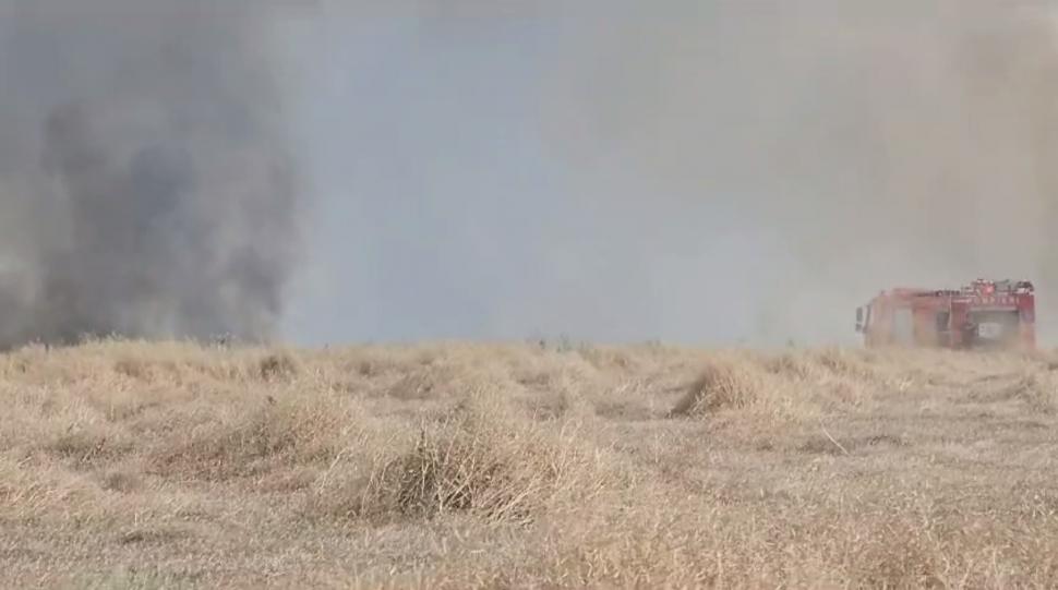 Incendiu masiv în apropiere de Bucureşti: Ard 10 hectare de vegetaţie. A fost emis mesaj Ro-Alert 847215