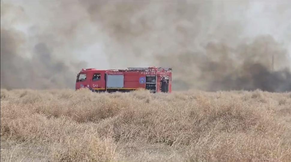 Incendiu masiv în apropiere de Bucureşti: Ard 10 hectare de vegetaţie. A fost emis mesaj Ro-Alert 847216