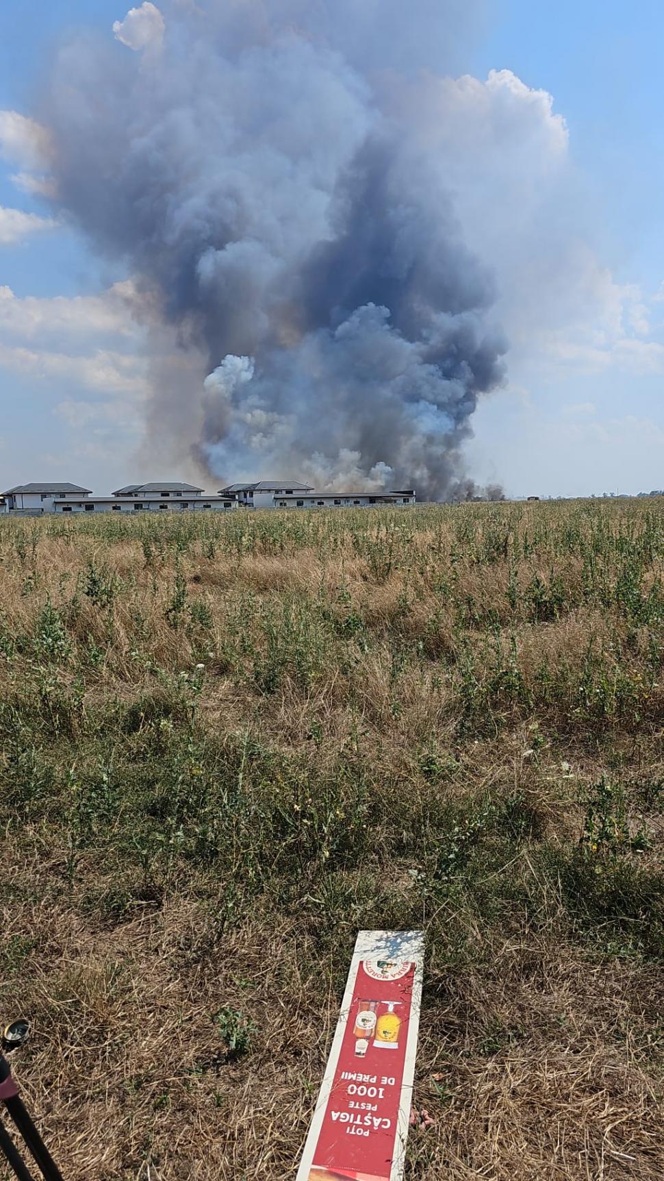 Incendiu masiv în apropiere de Bucureşti: Ard 10 hectare de vegetaţie. A fost emis mesaj Ro-Alert 847217