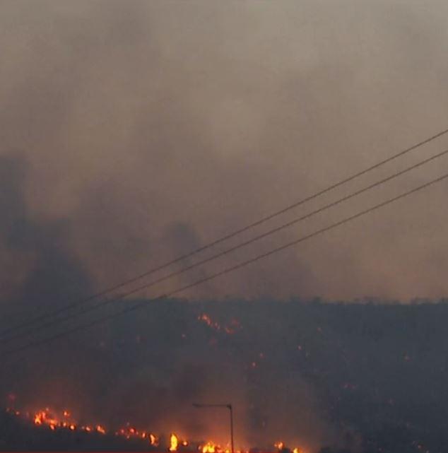 Pompierii români sting incendiile de vegetație din Grecia, umăr la umăr cu salvatorii eleni | ”Misiunea este foarte dificilă”  847277
