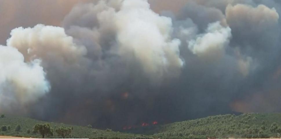 Pompierii români sting incendiile de vegetație din Grecia, umăr la umăr cu salvatorii eleni | ”Misiunea este foarte dificilă”  847278