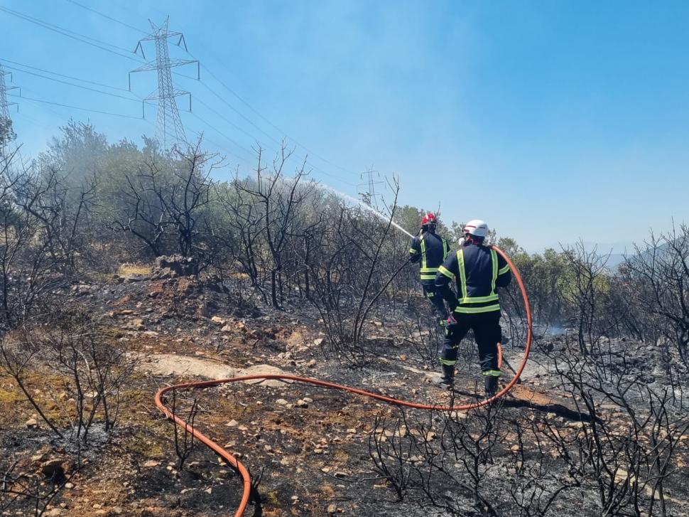 Pompierii români sting incendiile de vegetație din Grecia, umăr la umăr cu salvatorii eleni | ”Misiunea este foarte dificilă”  847282