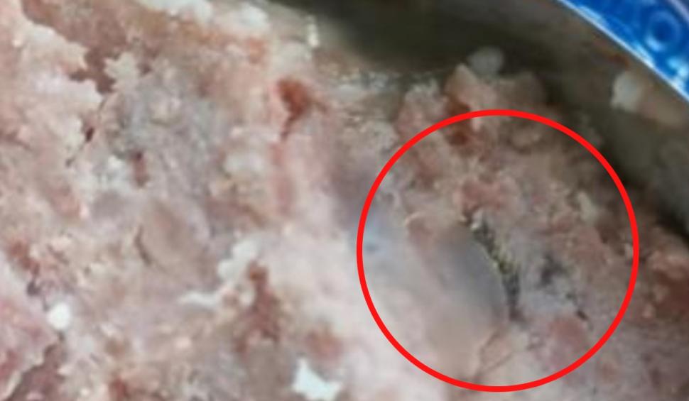 ”Erau gene și sprâncene în conservă” Surpriză neplăcută găsită de un bărbat din Cluj într-o conservă cu carne de vită 847307