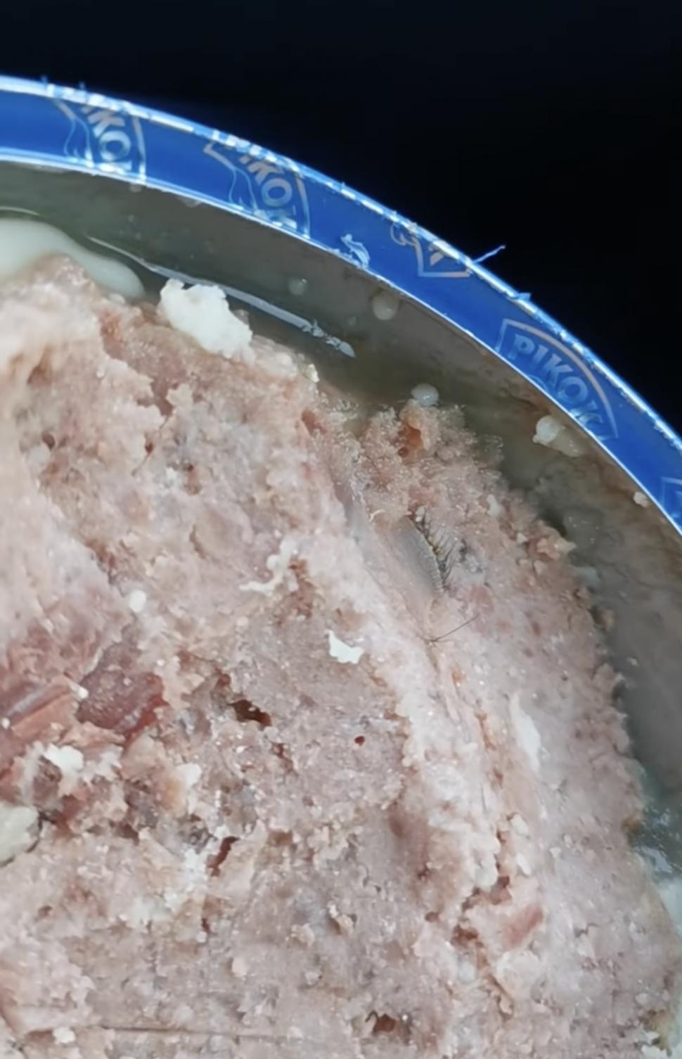 ”Erau gene și sprâncene în conservă” Surpriză neplăcută găsită de un bărbat din Cluj într-o conservă cu carne de vită 847309