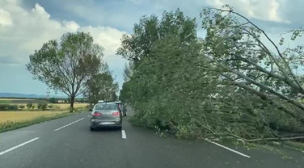 Covor alb de gheață în toiul verii, în urma fenomenelor extreme | Grindina a făcut prăpăd în mai multe zone din țară 847537