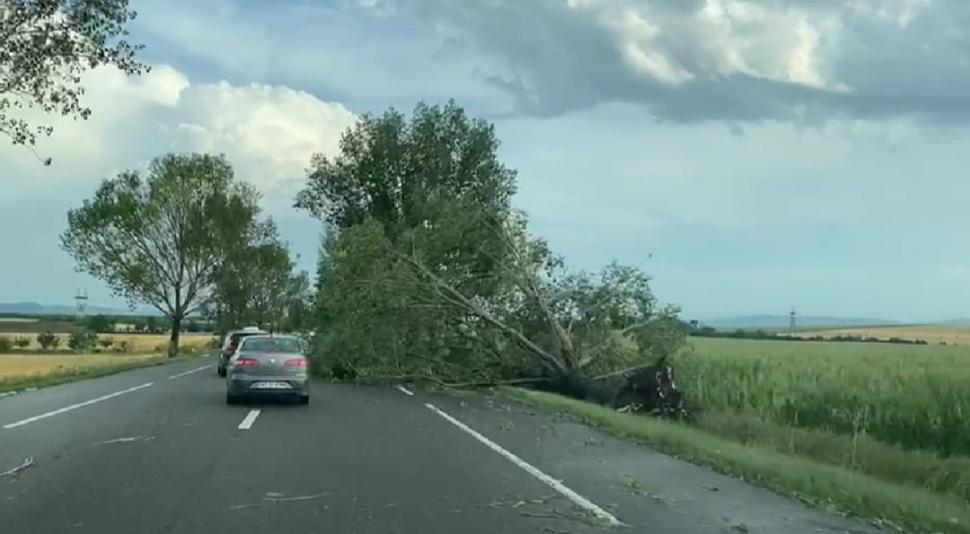 Covor alb de gheață în toiul verii, în urma fenomenelor extreme | Grindina a făcut prăpăd în mai multe zone din țară 847538