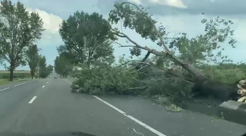 Covor alb de gheață în toiul verii, în urma fenomenelor extreme | Grindina a făcut prăpăd în mai multe zone din țară 847539