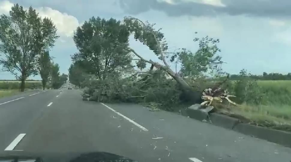 Covor alb de gheață în toiul verii, în urma fenomenelor extreme | Grindina a făcut prăpăd în mai multe zone din țară 847540