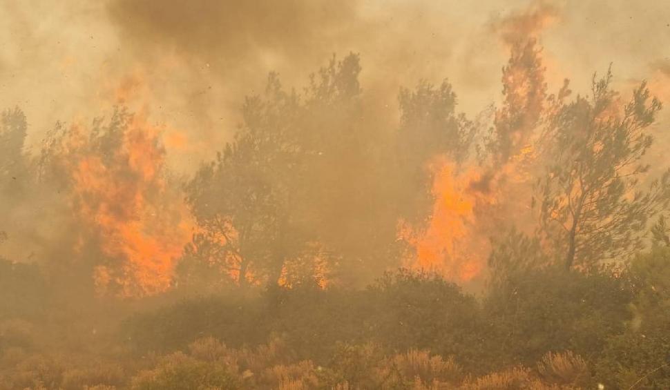 Pompierii români luptă să stingă cele peste 80 de incendii care mistuie Grecia  847366