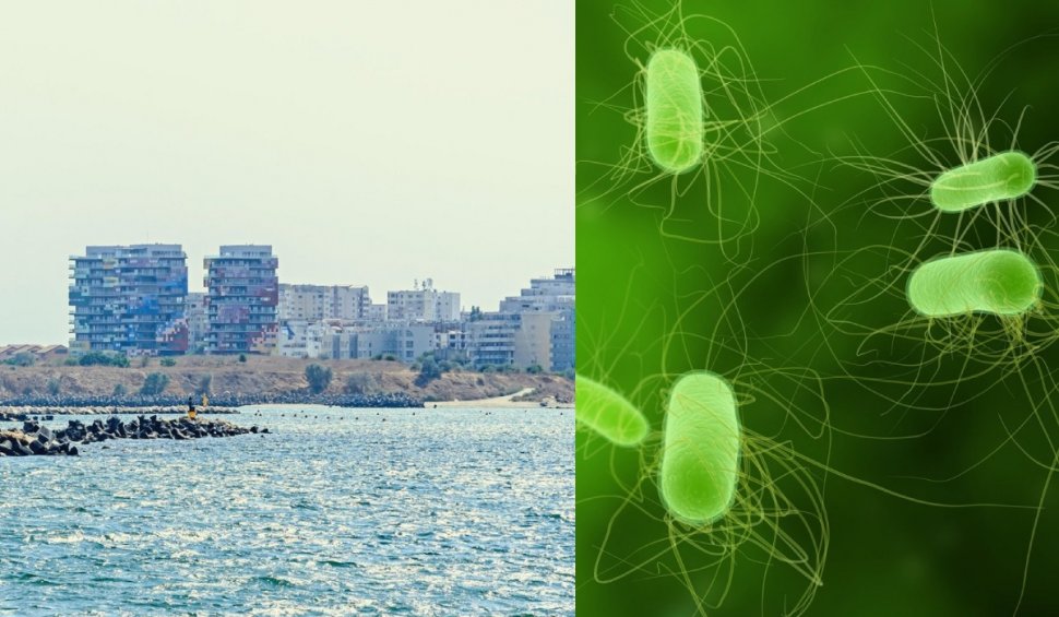 Ministrul Sănătății, sfaturi pentru a preveni infectarea cu bacteria E. coli pe litoral: "Prin activitatea fiecărui turist, contaminarea este posibilă"