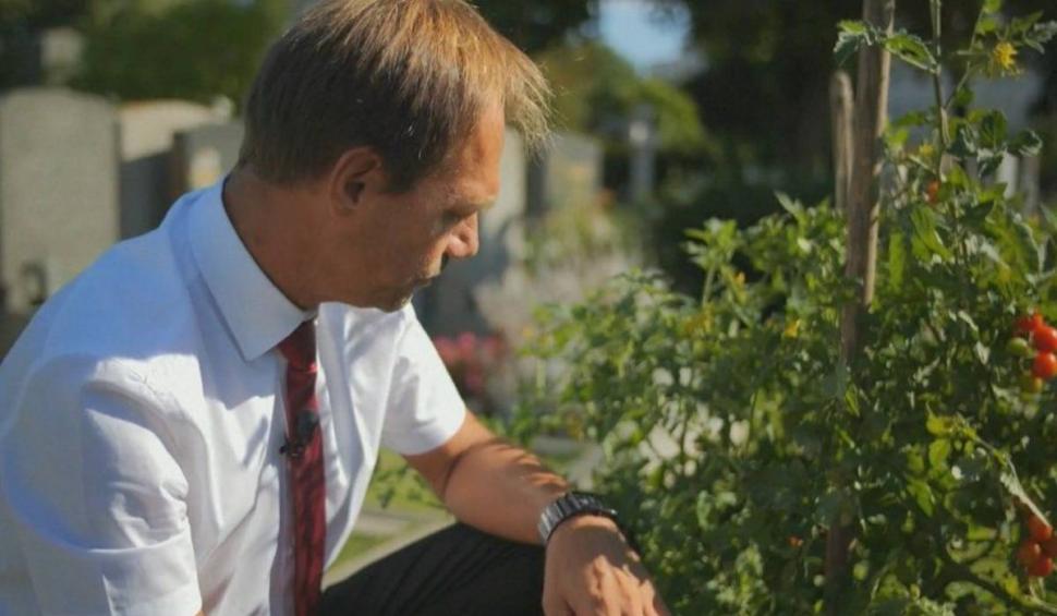 Țara în care oamenii au ajuns să planteze roșii pe morminte, în cimitir. "Sunt foarte dulci și zemoase" 847433