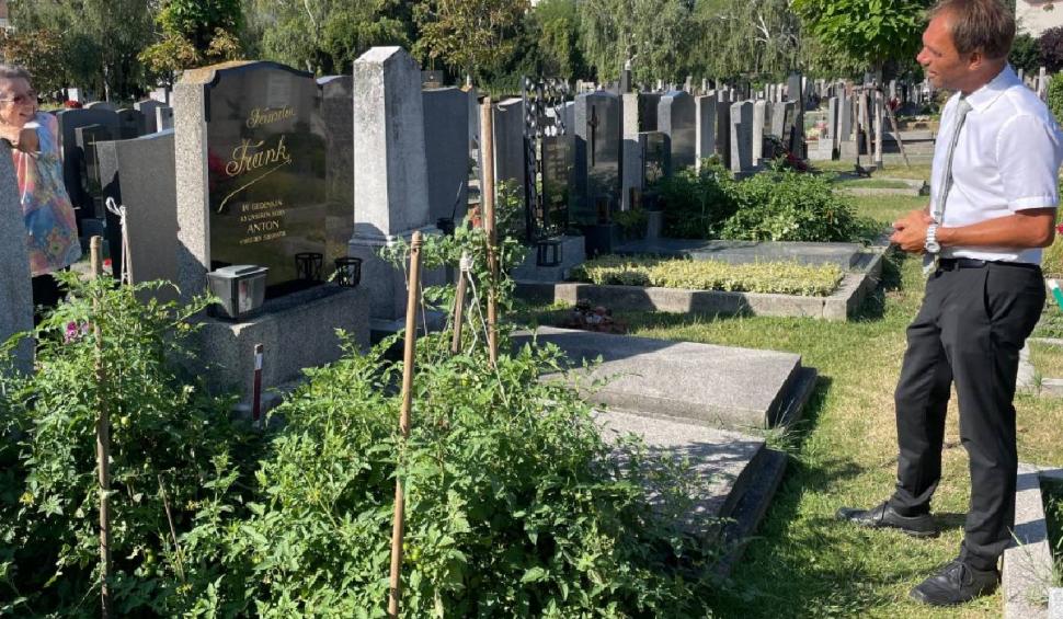 Țara în care oamenii au ajuns să planteze roșii pe morminte, în cimitir. "Sunt foarte dulci și zemoase" 847438