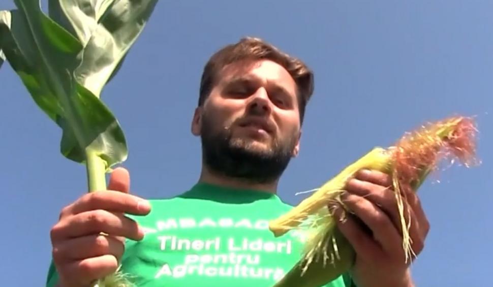 Seceta face ravagii în culturile din România. Fermierii din Vaslui sunt la capătul puterilor şi cer ajutorul statului 847928