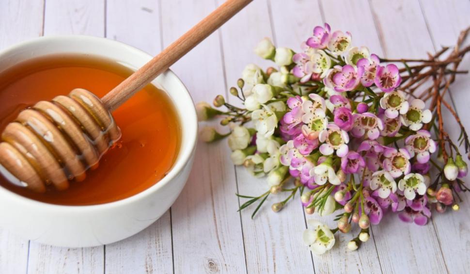 Alimentul natural care menţine creierul viu. Prof. dr. Vlad Ciurea: "Recomand zilnic. Este un foarte bun stimulator pentru creier, ajută procesele cerebrale" 848024