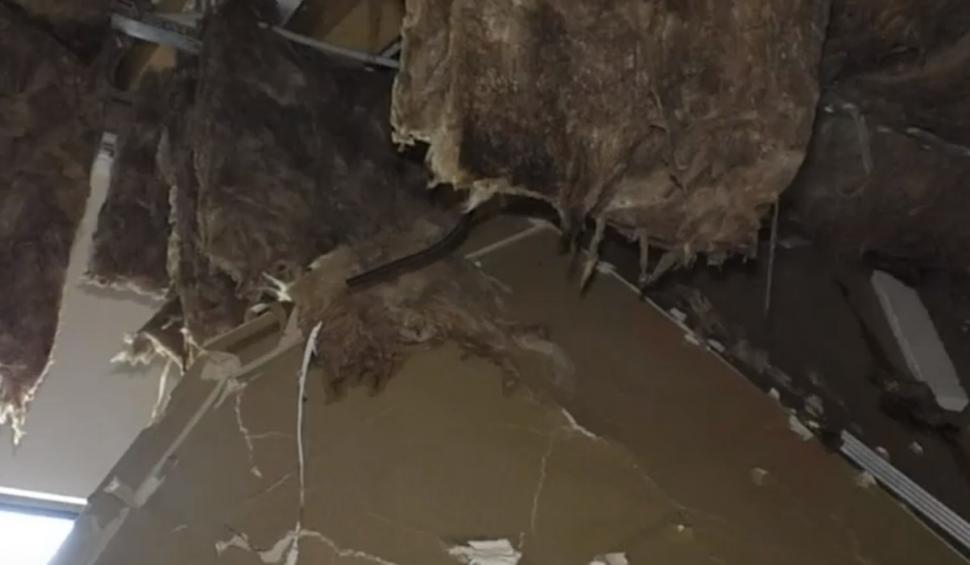 "Am crezut că este cutremur. Ne-am speriat" | Imagini apocaliptice după furtună. Acoperişul unei pensiuni a fost spulberat de vânt, în Mehedinţi 848038