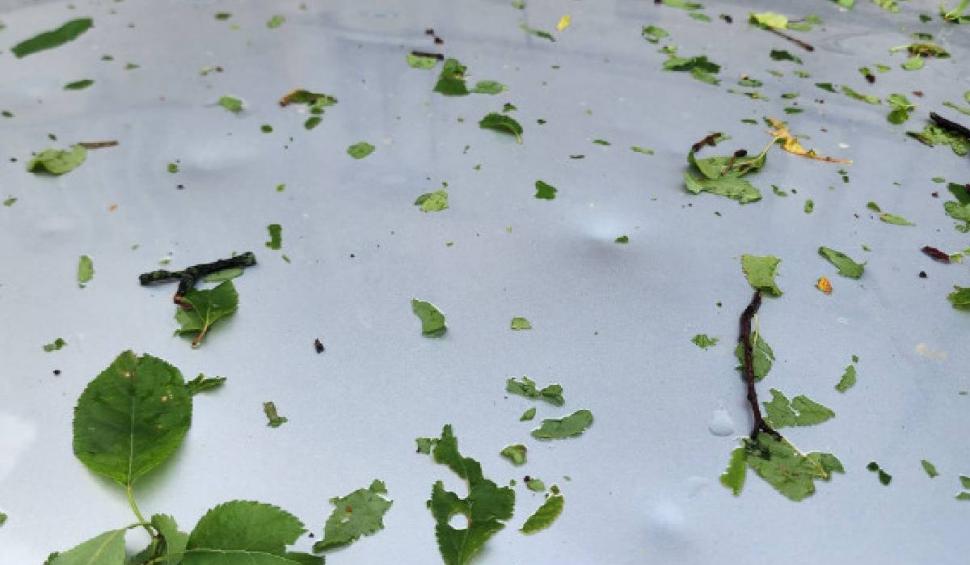 Fenomen extrem în Italia: grindină cât mingea de tenis. Peste o sută de persoane au fost rănite 848148