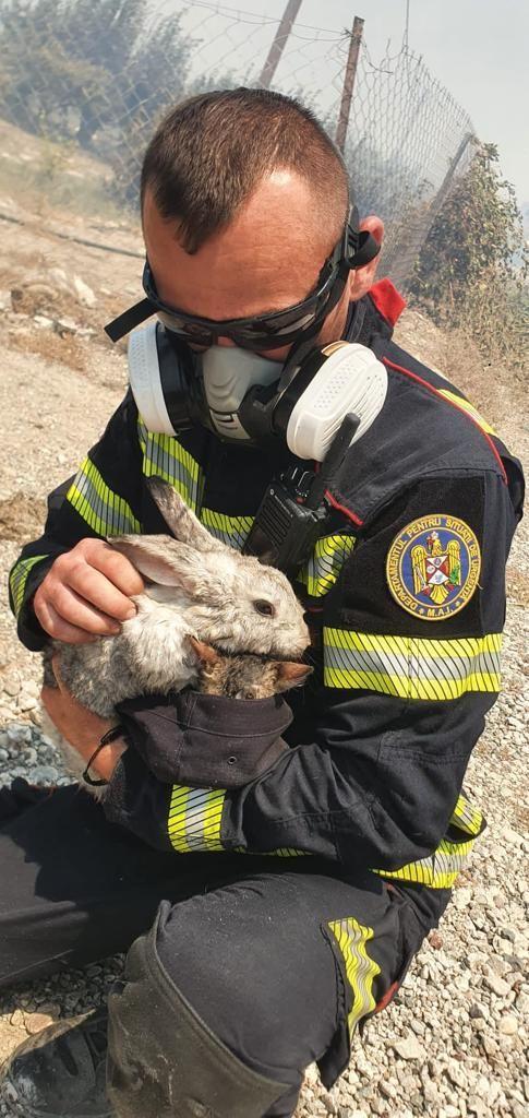 Aproape 20.000 de oameni, evacuaţi din insulele greceşti Rodos, Corfu şi Evia, din cauza incendiilor de vegetație. O companie de turism anulează zboruri 848311
