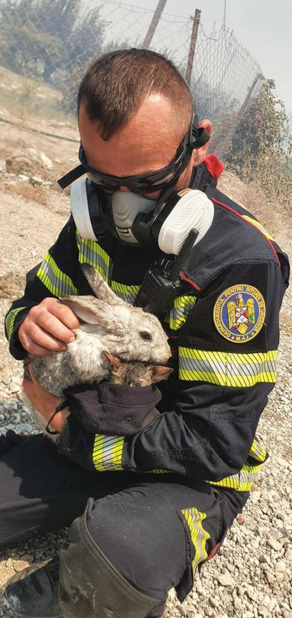 Pompierii români au ajuns pe insula Rodos! Luptă contra cronometru cu flăcările 848305