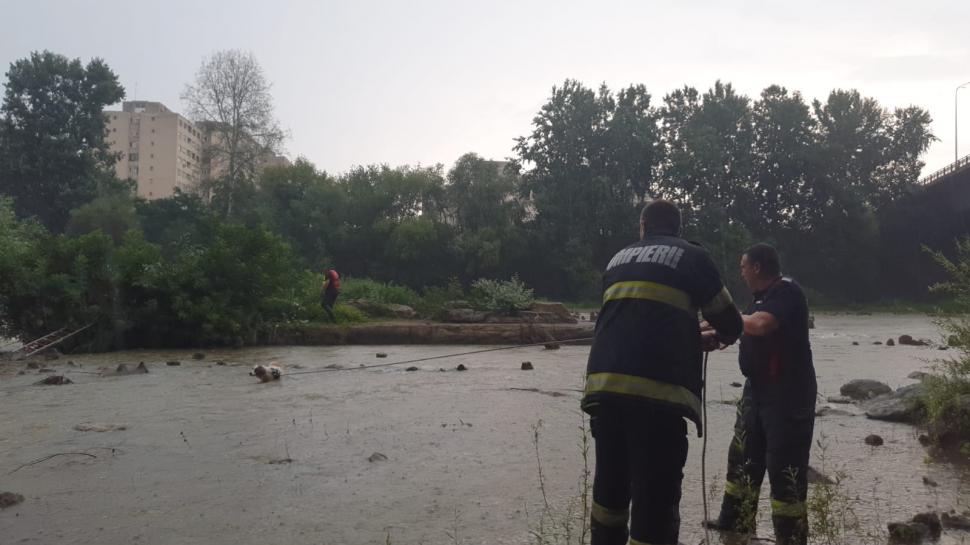 "Fără cuvinte! Felicitări!" Tasha, căţeluşa salvată din apele Someşului de pompieri, a plecat acasă cu unul dintre salvatori 848322