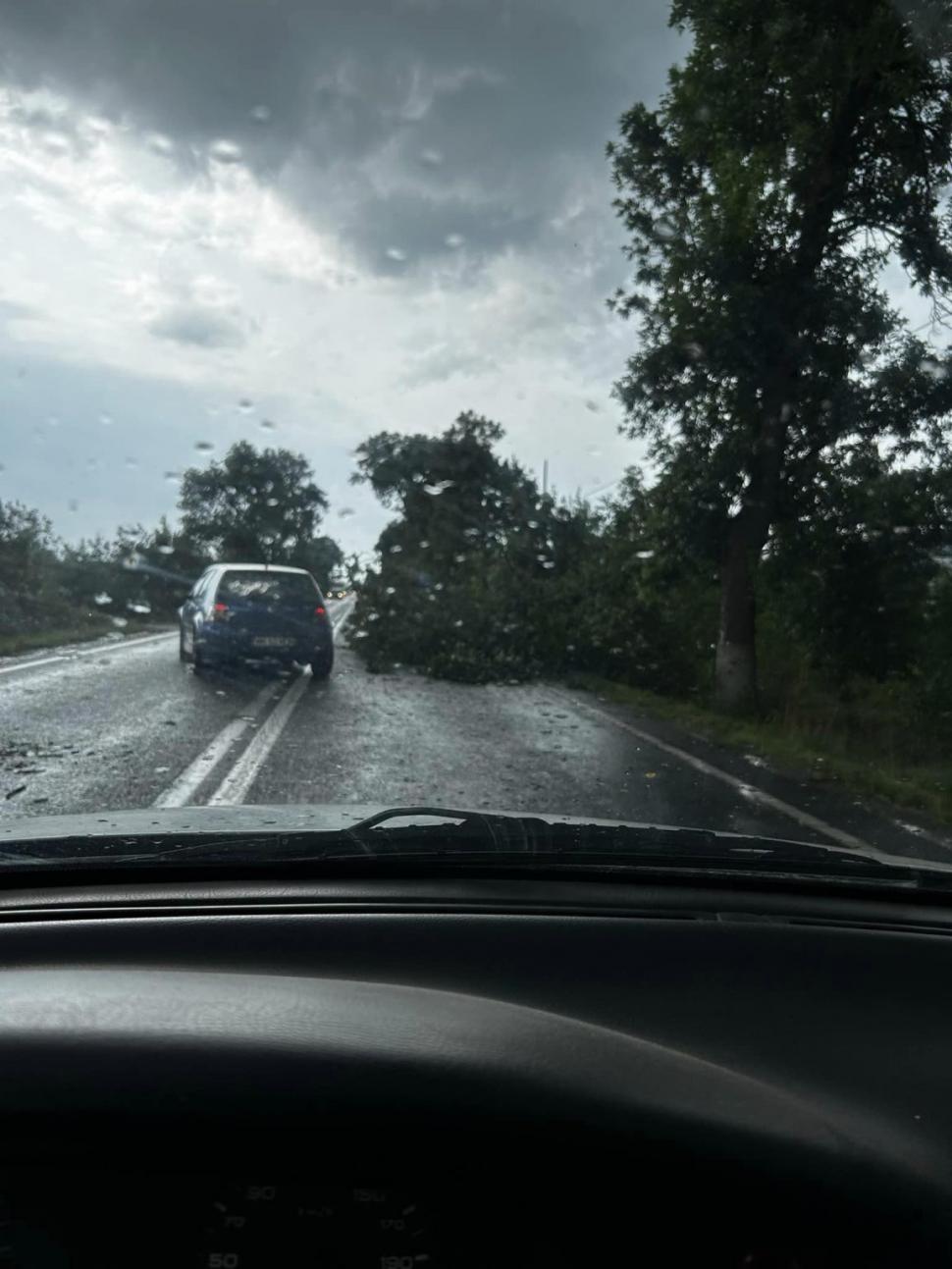 Imaginile dezastrului lăsat în urmă de Codul roşu de vijelii. Acoperişuri smulse, copaci doborâţi, maşini avariate, locuinţe fără energie electrică 848730