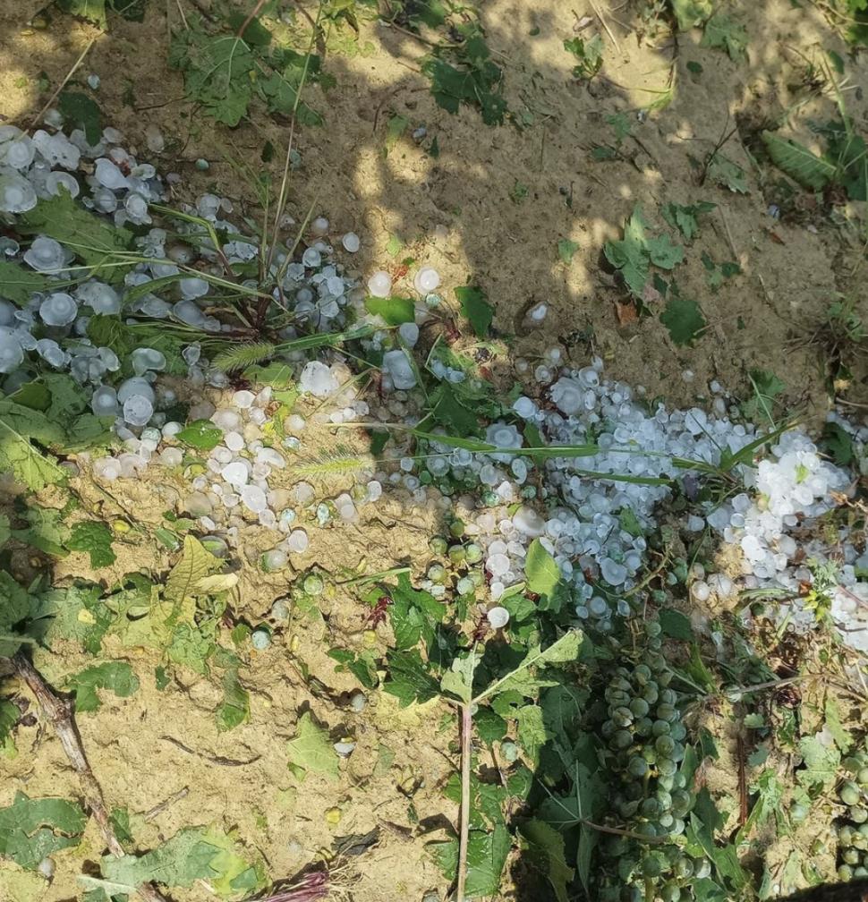 Italia, împărțită între furtuni și caniculă. În Sardinia au fost 48,2 grade Celsius, un record european pentru luna iulie 848550