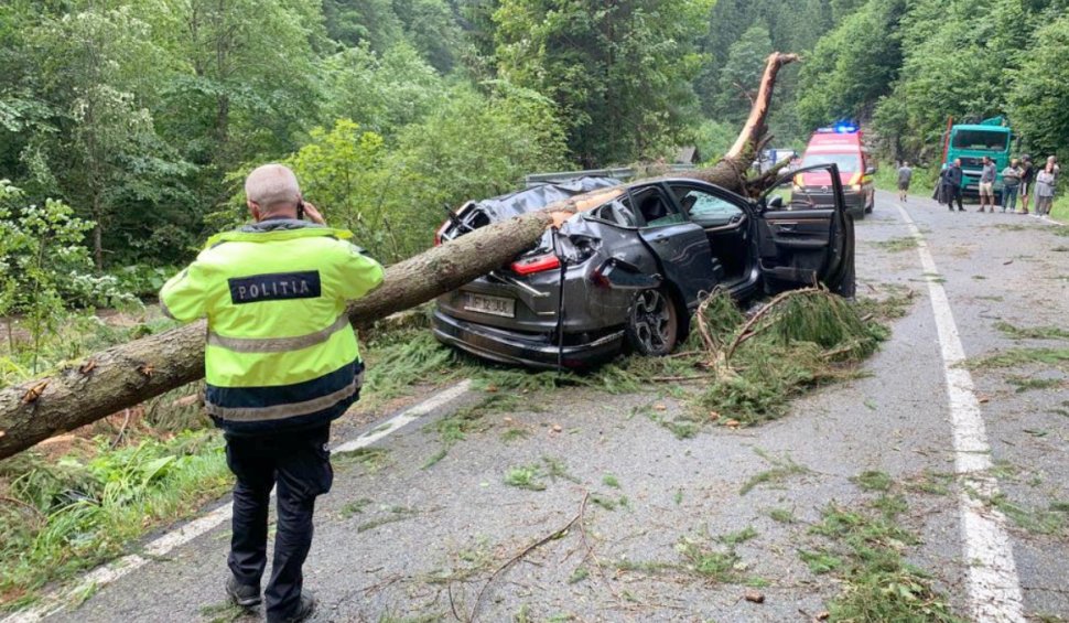 Copac căzut peste o mașină aflată în mers, pe Transalpina: Una dintre victime a murit, după ce martorii s-au chinuit să o resusciteze