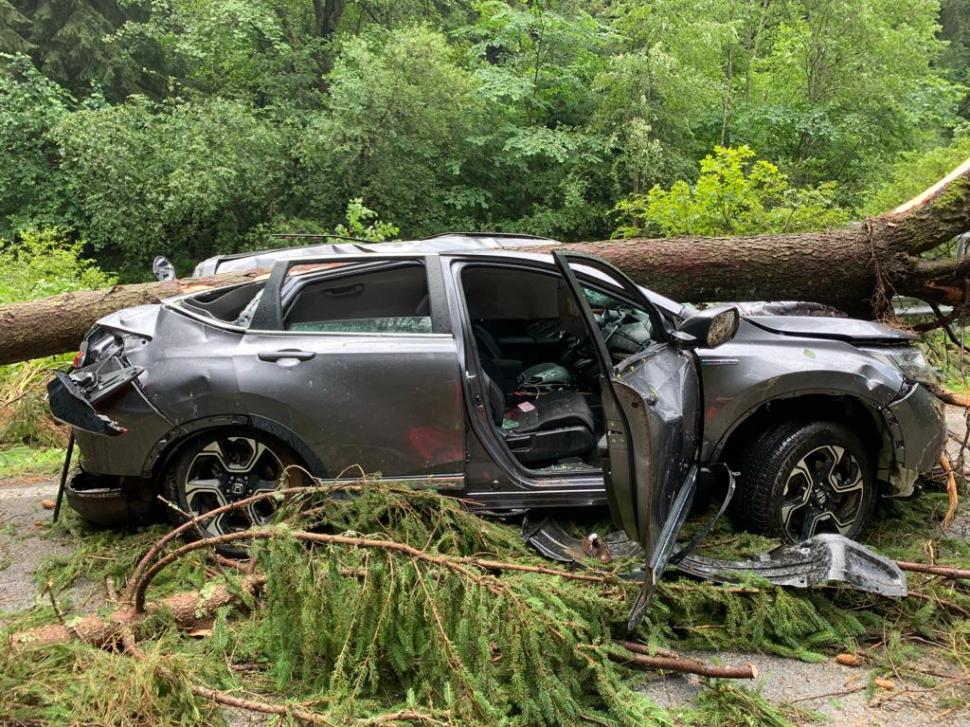 Copac căzut peste o mașină aflată în mers, pe Transalpina: Una dintre victime a murit, după ce martorii s-au chinuit să o resusciteze 848858