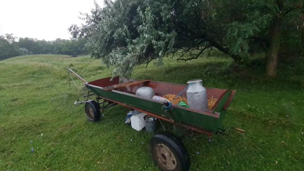 Doi frați au murit după ce au fost loviți de fulger, în județul Botoșani. Mama lor a presimțit tragedia 848828