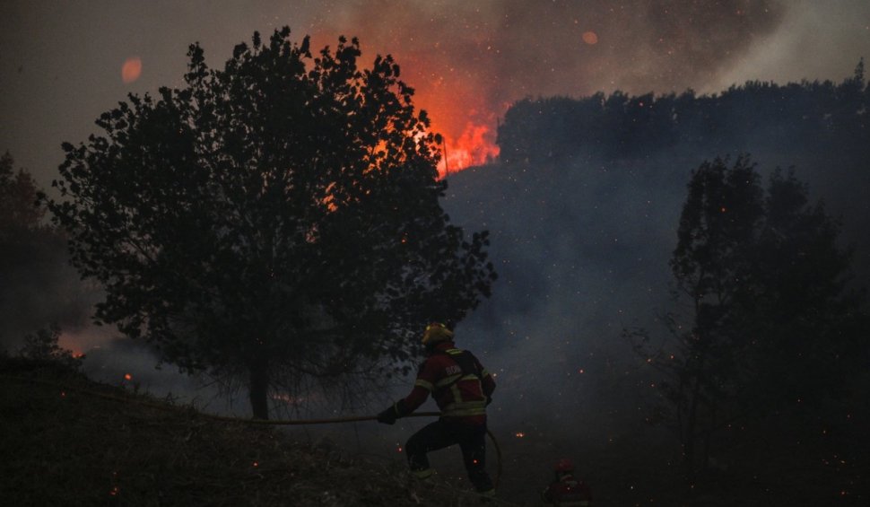 Incendiu uriaș în parcul natural Sintra-Cascais din Portugalia! Peste 600 de pompieri intervin la fața locului