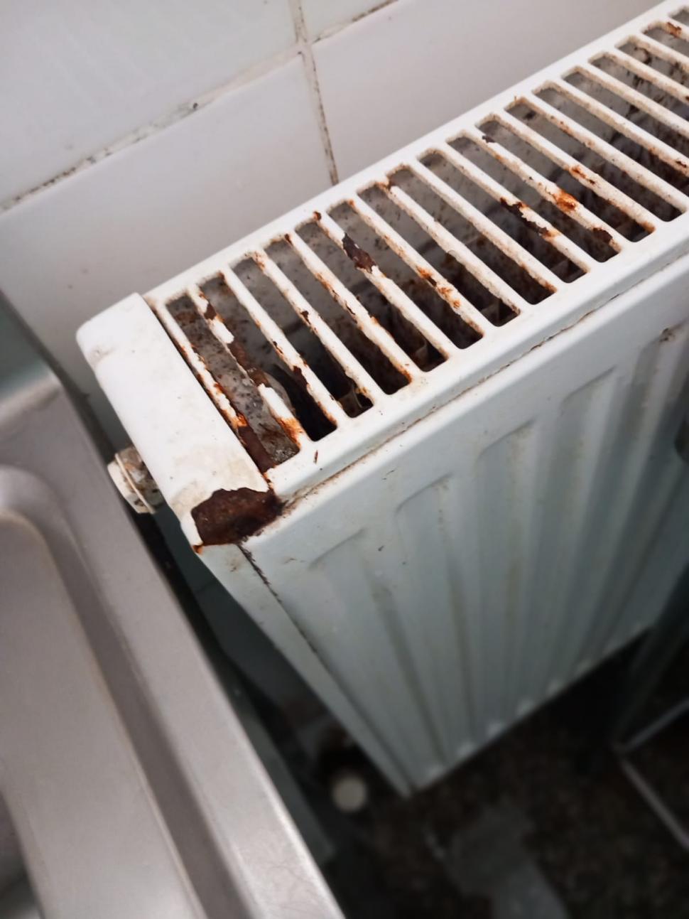 Mizerie, rugină și fructe stricate, la firma care asigura mâncarea pacienților în spitalele din Constanța. Activitatea a fost oprită de inspectori 848752