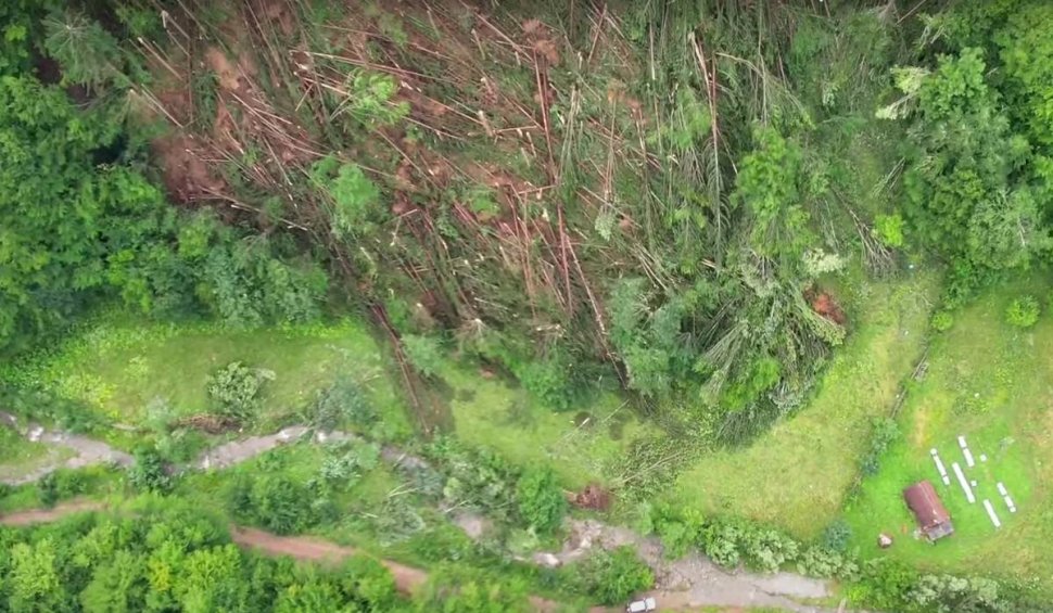 "Ferească-ne Dumnezeu!": O tornadă a nimicit o pădure din Munții Apuseni