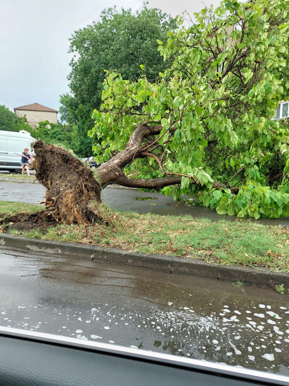 Vremea a făcut prăpăd. Pagube însemnate în toată ţara provocate de vijeliile violente 848932