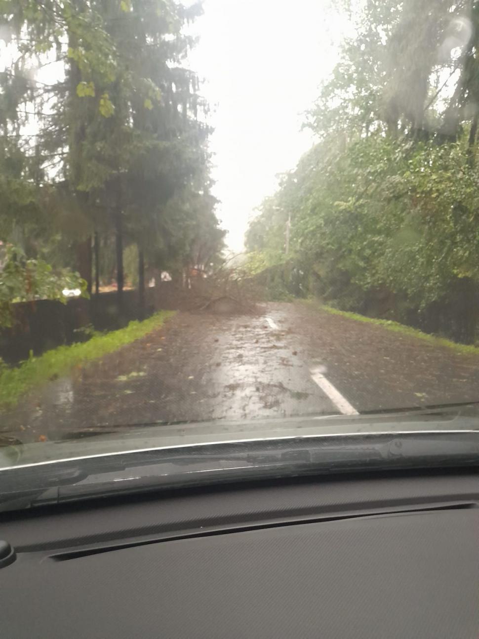 Vremea a făcut prăpăd. Pagube însemnate în toată ţara provocate de vijeliile violente 848933