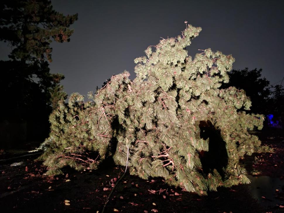 Fenomenele meteo au produs pagube serioase în România. Străzi inundate, copaci căzuți și stâlpi de electricitate puși la pământ de vântul puternic  849027