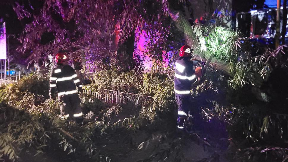 Fenomenele meteo au produs pagube serioase în România. Străzi inundate, copaci căzuți și stâlpi de electricitate puși la pământ de vântul puternic  849028