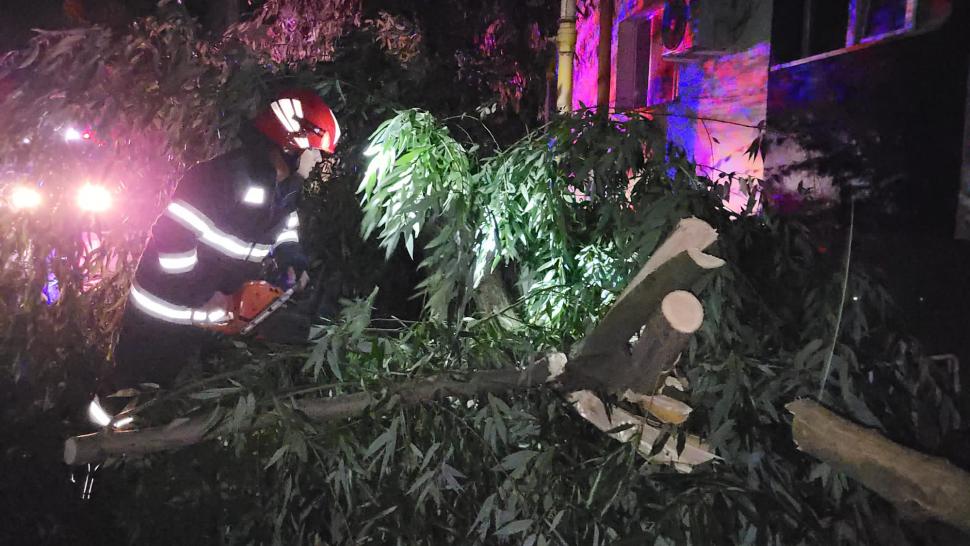 Fenomenele meteo au produs pagube serioase în România. Străzi inundate, copaci căzuți și stâlpi de electricitate puși la pământ de vântul puternic  849030