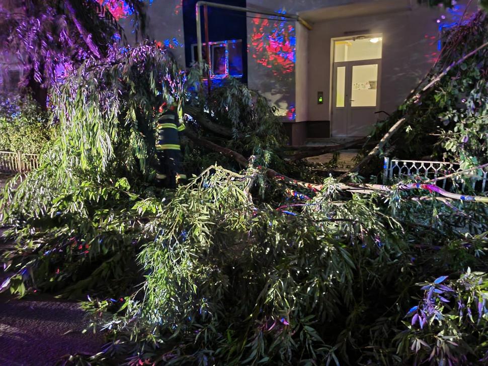 Fenomenele meteo au produs pagube serioase în România. Străzi inundate, copaci căzuți și stâlpi de electricitate puși la pământ de vântul puternic  849031