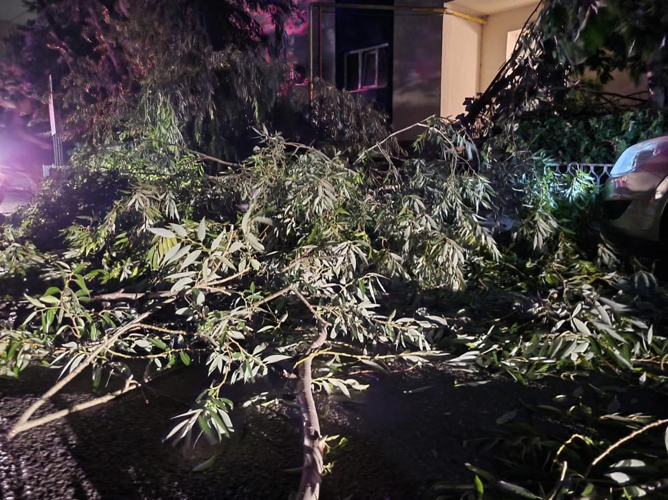 Fenomenele meteo au produs pagube serioase în România. Străzi inundate, copaci căzuți și stâlpi de electricitate puși la pământ de vântul puternic  849032