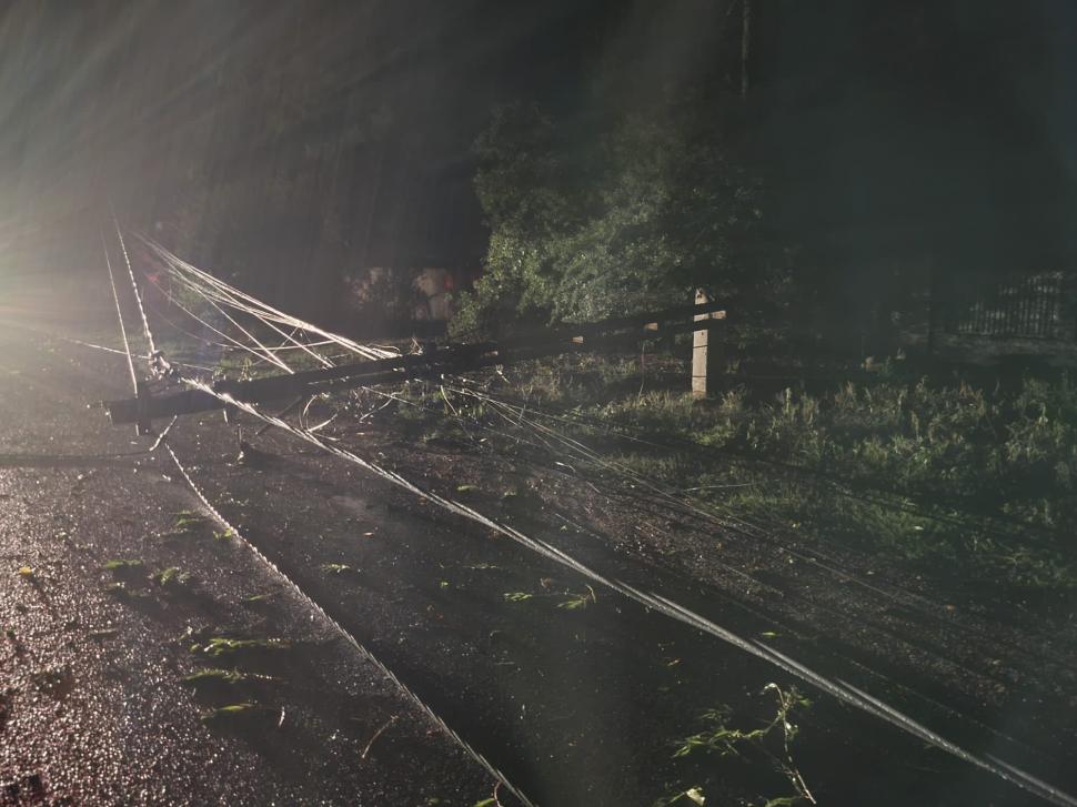 Fenomenele meteo au produs pagube serioase în România. Străzi inundate, copaci căzuți și stâlpi de electricitate puși la pământ de vântul puternic  849033