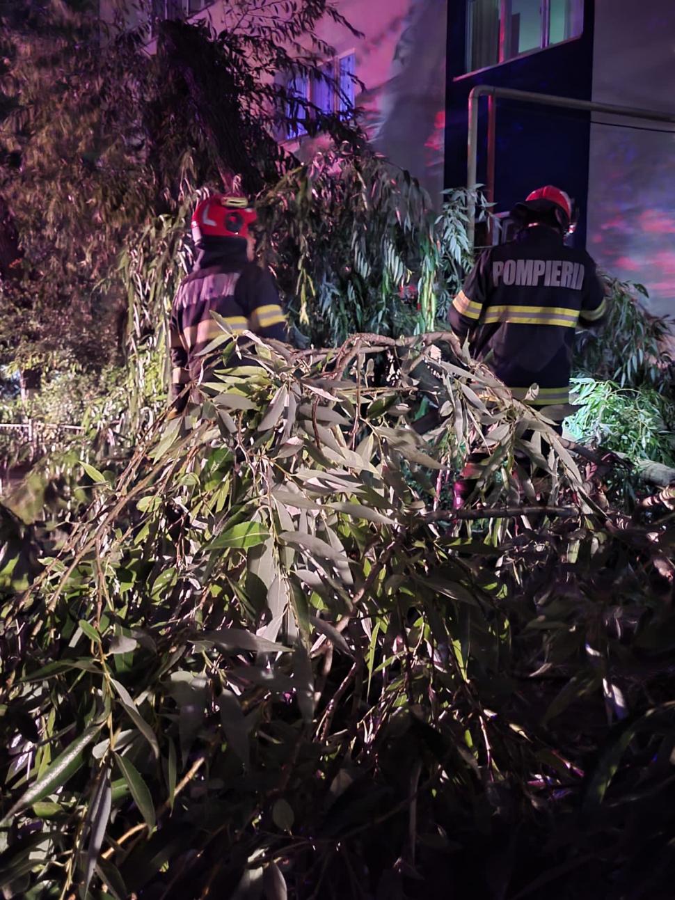 Fenomenele meteo au produs pagube serioase în România. Străzi inundate, copaci căzuți și stâlpi de electricitate puși la pământ de vântul puternic  849035