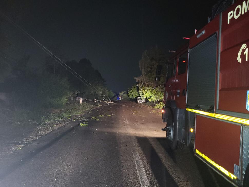 Fenomenele meteo au produs pagube serioase în România. Străzi inundate, copaci căzuți și stâlpi de electricitate puși la pământ de vântul puternic  849036