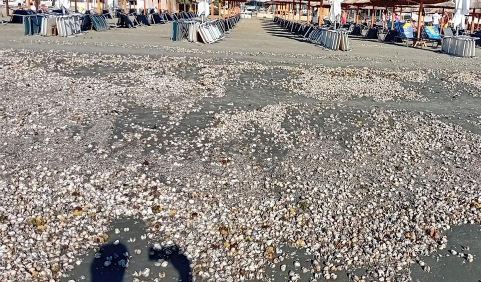 Fenomen rar pe litoral: Apa mării e rece ca în martie şi turiştii nu mai pot face baie. Ce este "upwelling" care a înghețat litoralul în plin sezon estival  849457