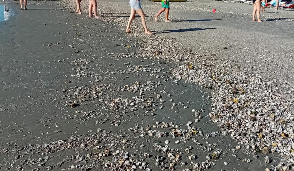 Fenomen rar pe litoral: Apa mării e rece ca în martie şi turiştii nu mai pot face baie. Ce este "upwelling" care a înghețat litoralul în plin sezon estival  849458