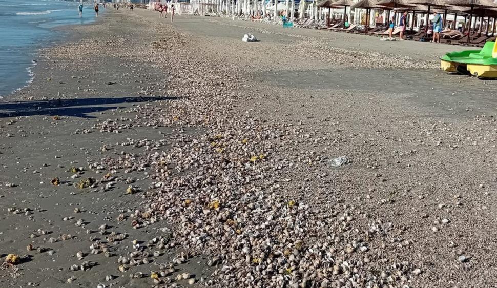 Fenomen rar pe litoral: Apa mării e rece ca în martie şi turiştii nu mai pot face baie. Ce este "upwelling" care a înghețat litoralul în plin sezon estival  849460