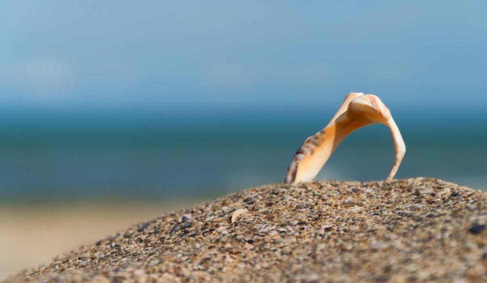 Fenomen rar pe litoral: Apa mării e rece ca în martie şi turiştii nu mai pot face baie. Ce este "upwelling" care a înghețat litoralul în plin sezon estival  849462